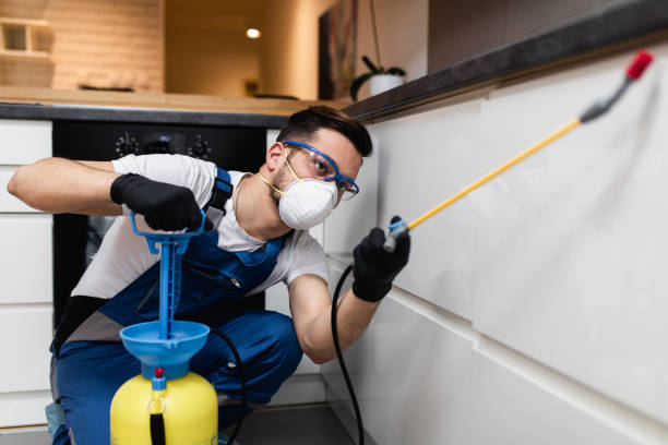 Best Affordable Pest Control Services  in Rehobeth, AL