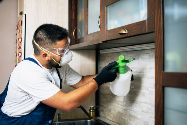 Best Pest Prevention Services  in Rehobeth, AL