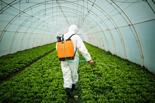Best Pest Inspection Near Me  in Rehobeth, AL