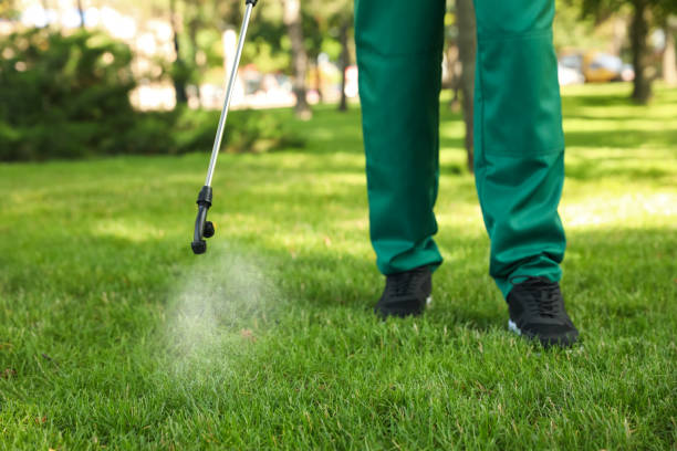 Professional Pest Control in Rehobeth, AL