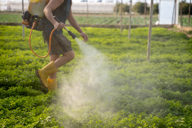 Best Wildlife Control Services  in Rehobeth, AL