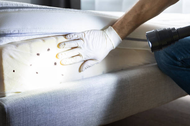 Best Best Pest Control Companies  in Rehobeth, AL