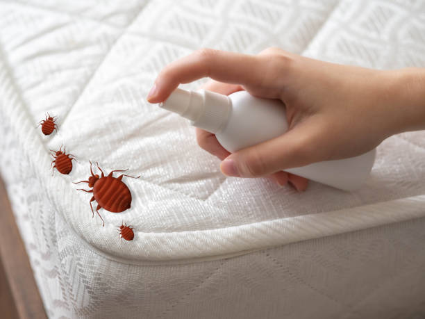 Best Pest Control for Businesses  in Rehobeth, AL